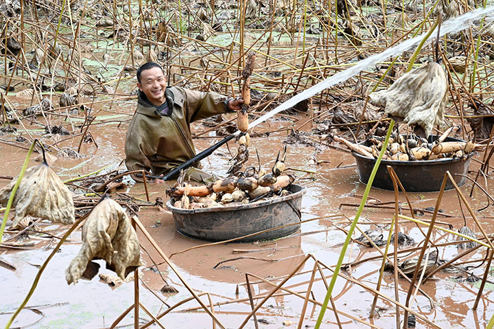 1665465536350468.jpg 2.jpg