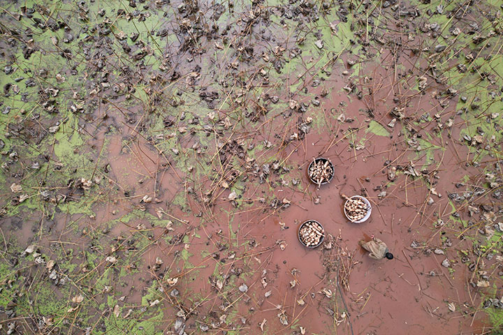 1665465536693884.jpg 1.jpg