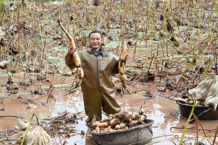 1665465536885665.jpg 3.jpg