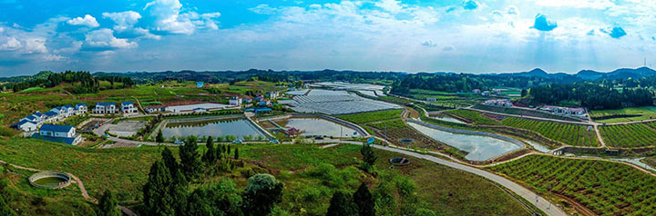 1665640146524555.jpg 微信圖片_202210131344552.jpg