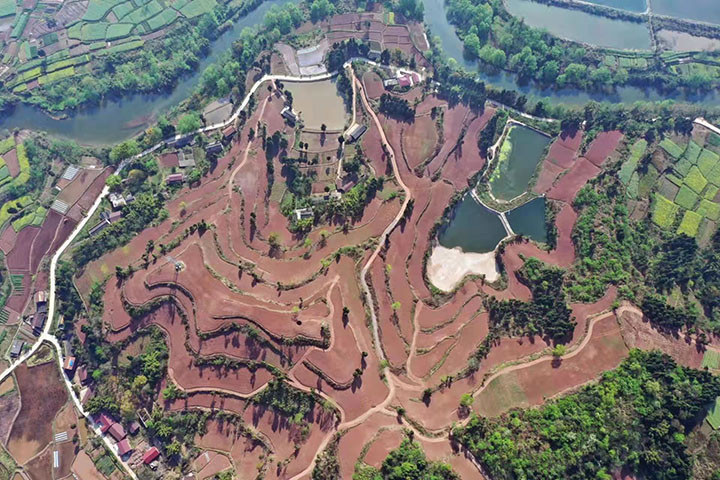 1665715264388824.jpg 1 永福鎮(zhèn)鯉魚塘村天冬產(chǎn)業(yè)園區(qū)實(shí)景圖.jpg