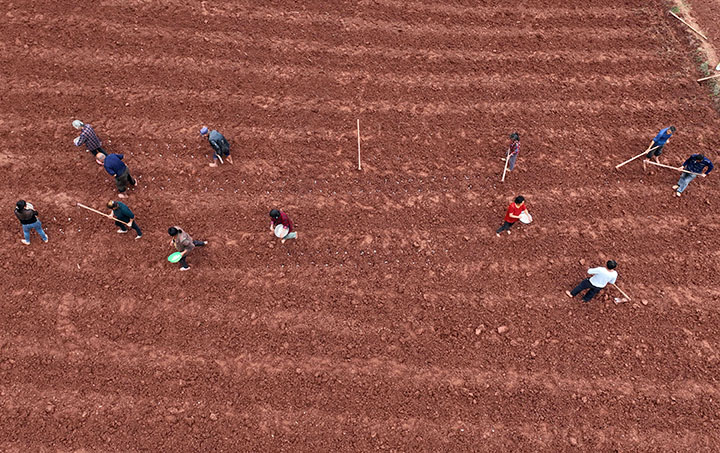 1665716994117164.jpg 2.jpg