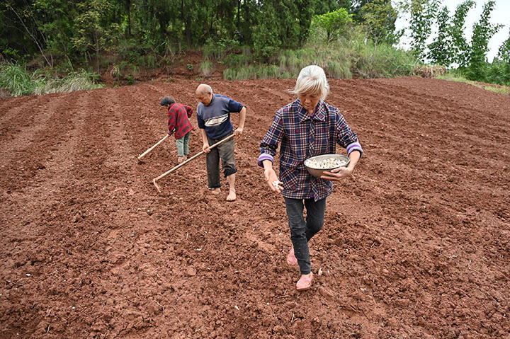 1665716994415356.jpg 3.jpg