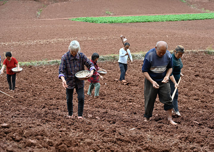 1665716994421183.jpg 4.jpg