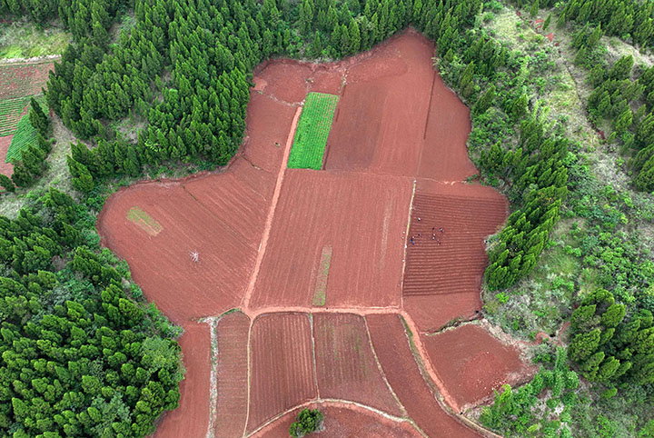 1665716994903426.jpg 1.jpg