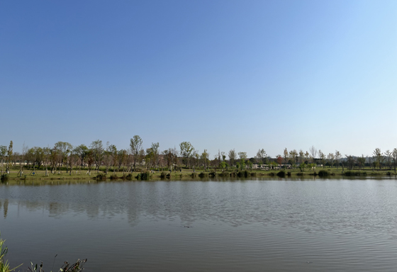 1666345287122465.jpg 岳池龍湖公園.jpg