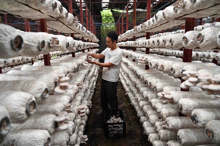 1666857365549350.jpeg 7631AE5D-EBC2-4089-BCA8-F023E0854E23.jpeg