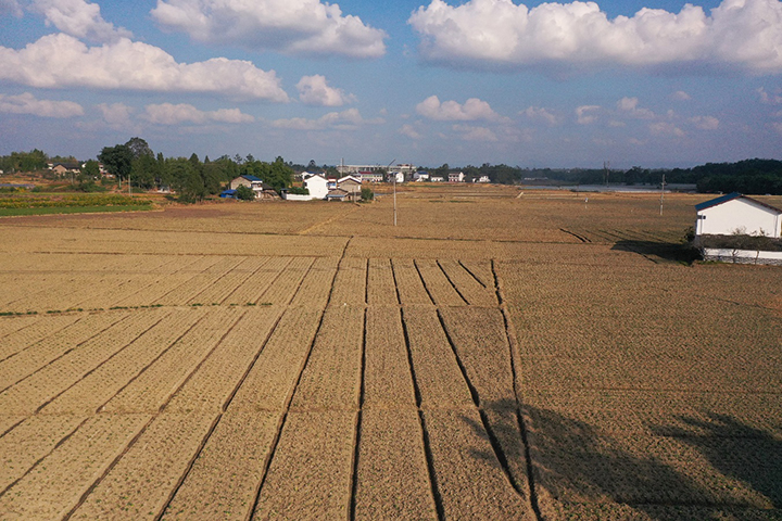 1667638711730746.jpg 圖片4.jpg