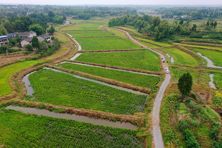 1667638728836732.jpg 圖片6.jpg