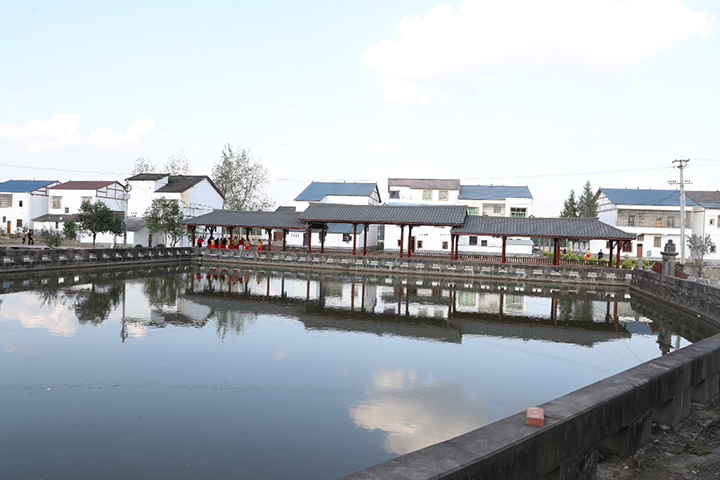 1667638745366917.jpg 圖片8.jpg