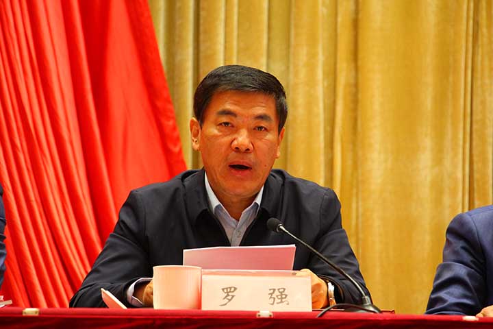 2－省政府副省長羅強(qiáng)講話.JPG