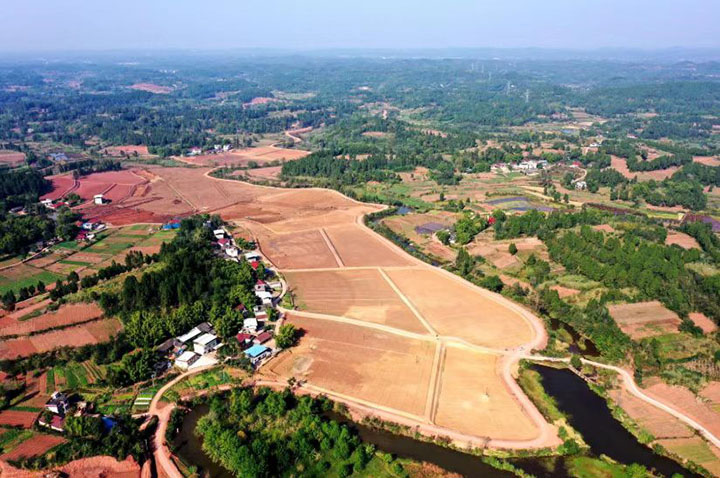 1669276188999363.jpg 6.飛鳳山村高標(biāo)準(zhǔn)農(nóng)田全貌.jpg