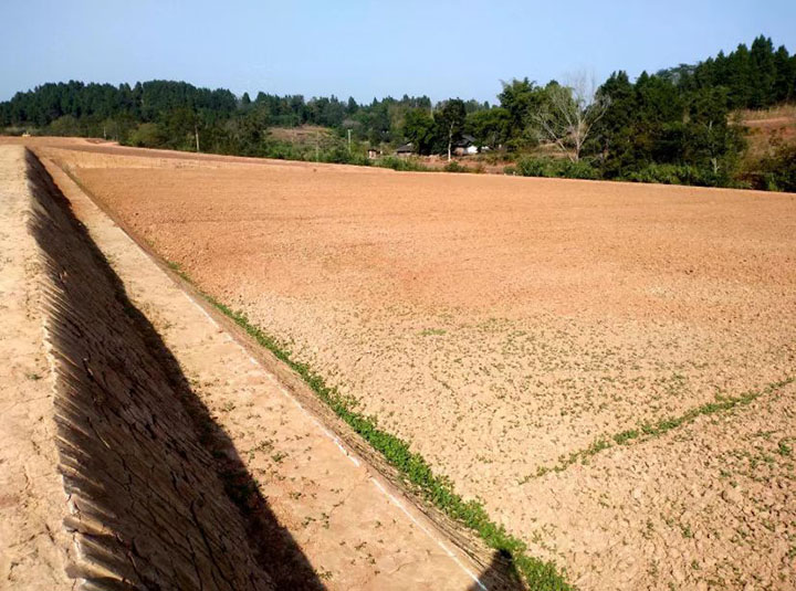 1669276192339069.jpg 5.已播種油菜的高標(biāo)準(zhǔn)農(nóng)田 .jpg