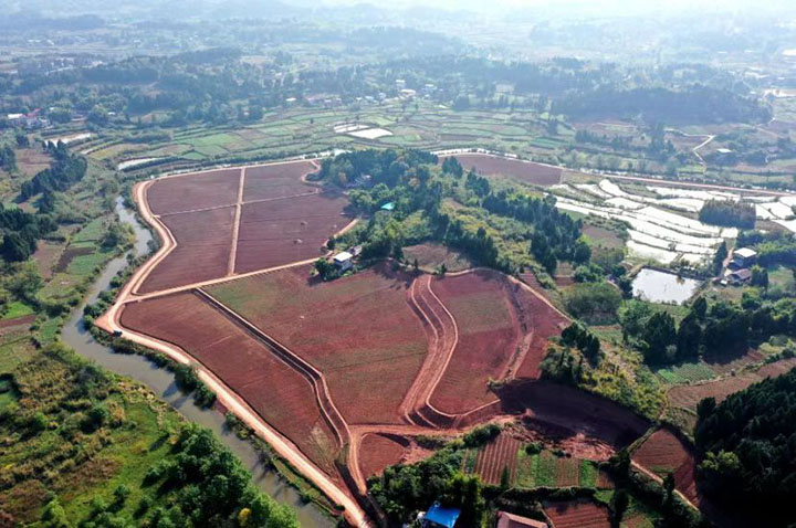 1669276212316675.jpg 2.改造好的土地 .jpg