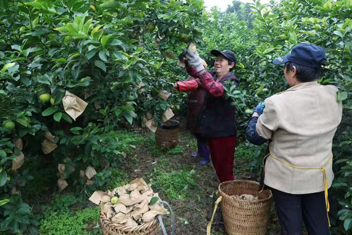 1669615442136665.jpg 微信圖片_202211281127432.jpg