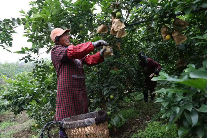 1669615465293136.jpg 微信圖片_202211281127435.jpg