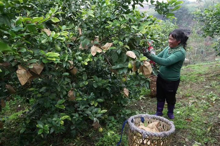 1669615477721853.jpg 微信圖片_202211281127434.jpg