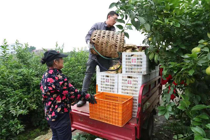 1669615495489841.jpg 微信圖片_202211281127431.jpg