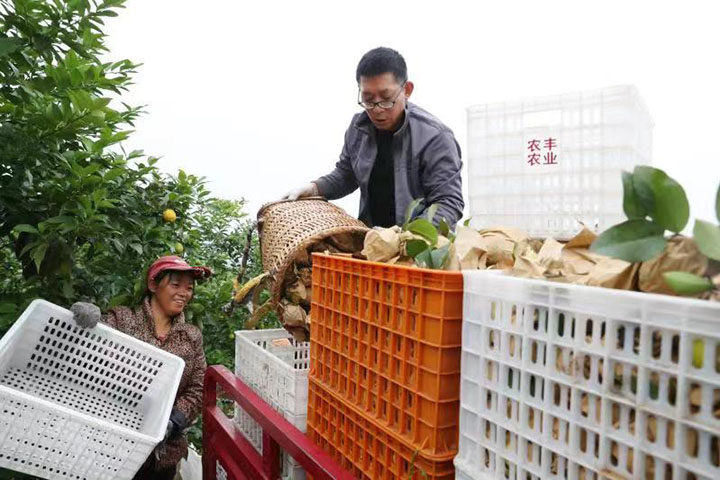 1669615501425279.jpg 微信圖片_202211281127437.jpg