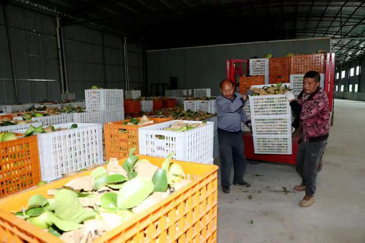 1669615510816987.jpg 微信圖片_20221128112743.jpg