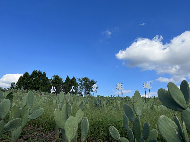 五香廟村仙人掌基地.jpg