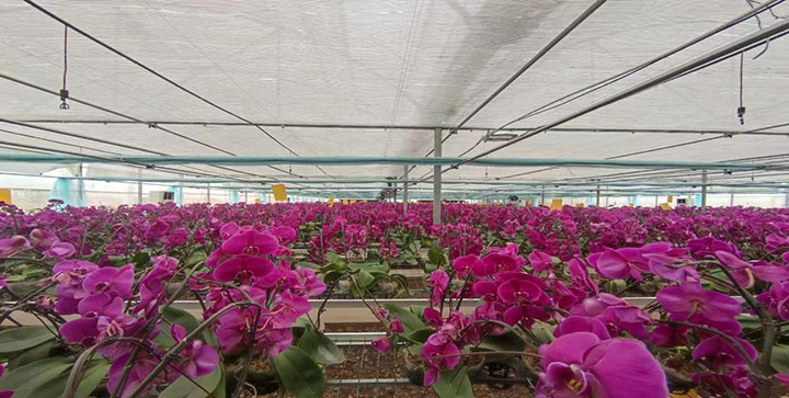 1673323147973156.jpg 微信圖片_202301101033472.jpg