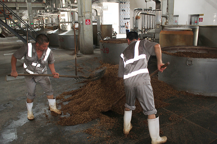 2釀酒車間生產(chǎn)現(xiàn)場  盧錦根 攝.JPG