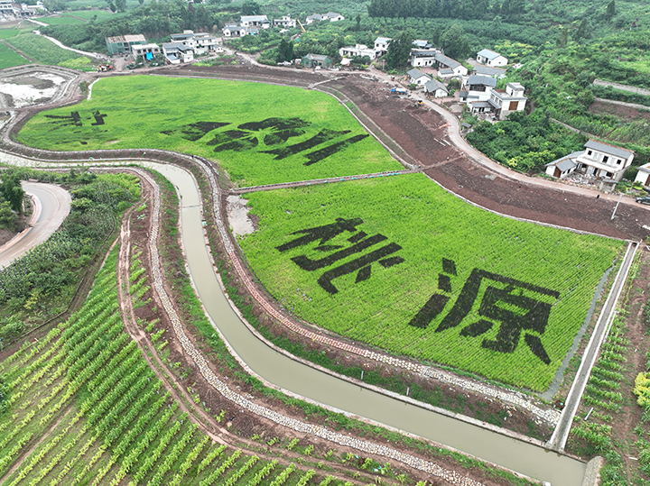 2卓筒井鎮(zhèn)為干屏村宋井桃源鄉(xiāng)游第一村項目  張昌明 攝.JPG