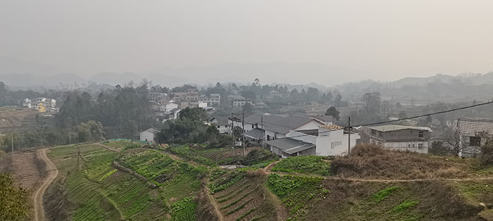 1675846927303980.jpg 469295388671114487.jpg