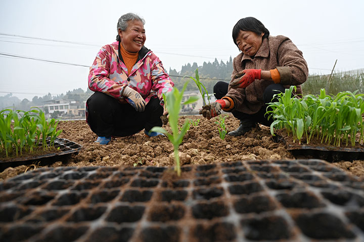 1676102497388963.jpg 1.jpg