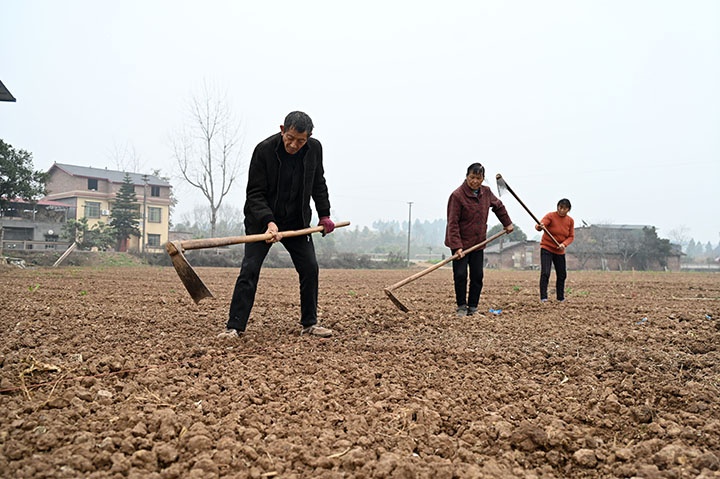 1676102502531285.jpg 2.jpg