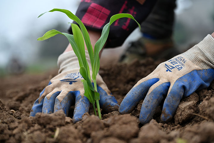 1676102507390961.jpg 3.jpg