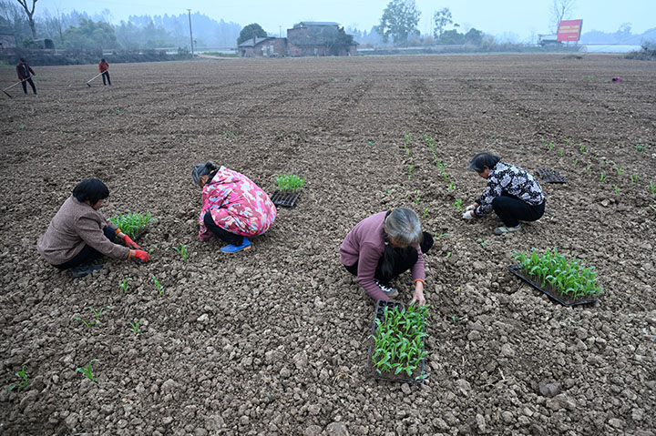 1676102511523192.jpg 4.jpg