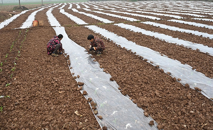 1676102517138105.jpg 5.jpg