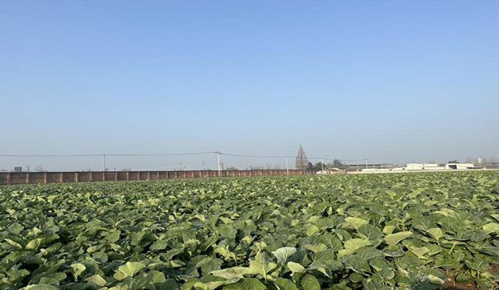 1676348636175915.jpg 圖片4.jpg