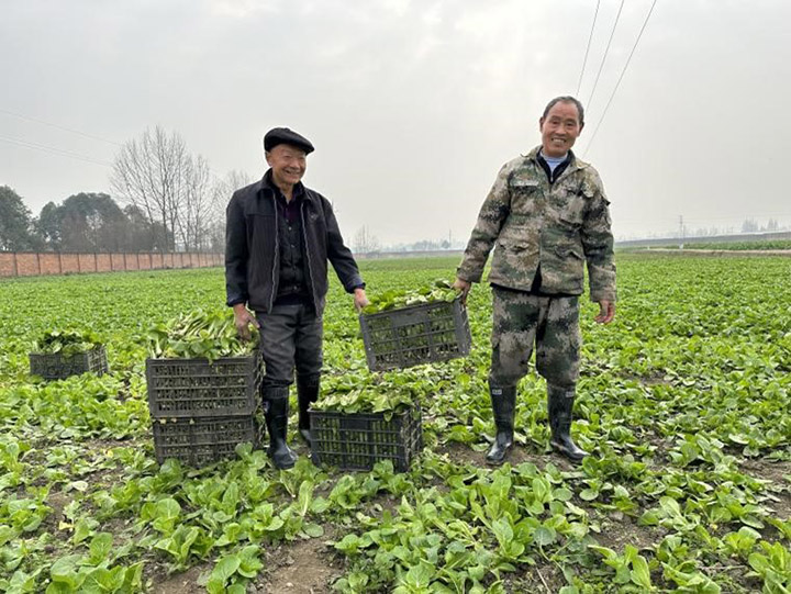 1676348639279632.jpg 圖片3.jpg