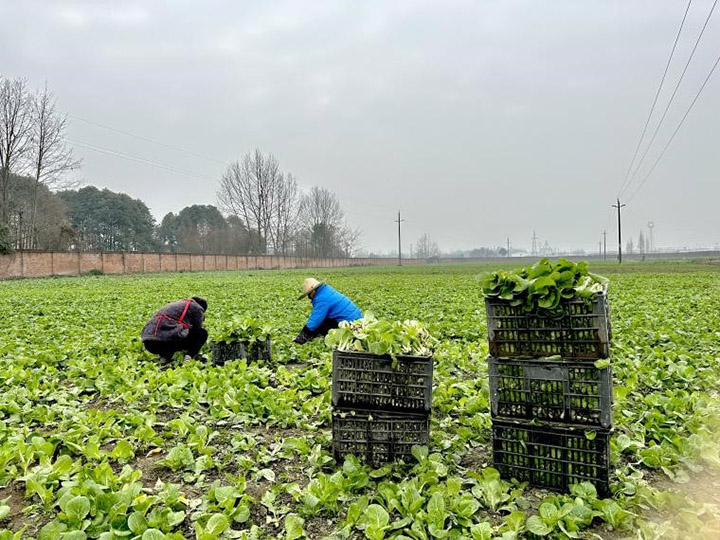 1676348642993060.jpg 圖片2.jpg