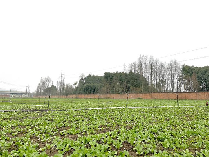 1676348645683770.jpg 圖片1.jpg