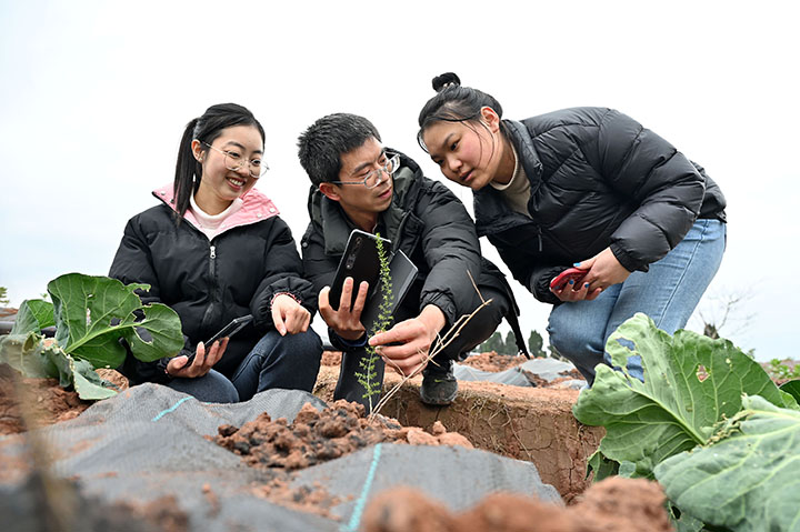 1676516672246761.jpg 圖3.jpg