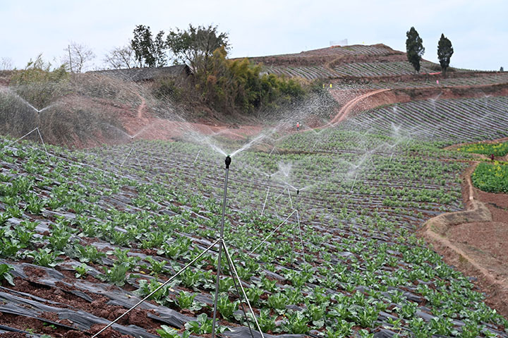 1676516687840424.jpg 圖5.jpg