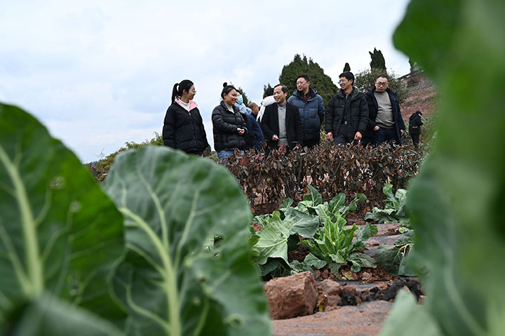 1676516692354262.jpg 圖6.jpg