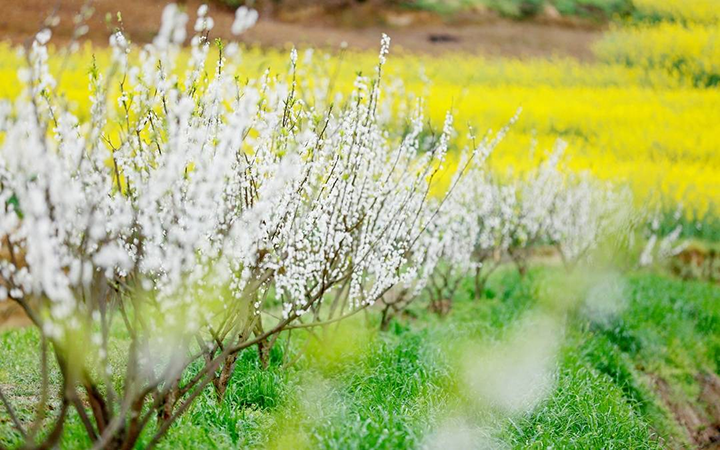 1676516805364593.png 圖片2.png