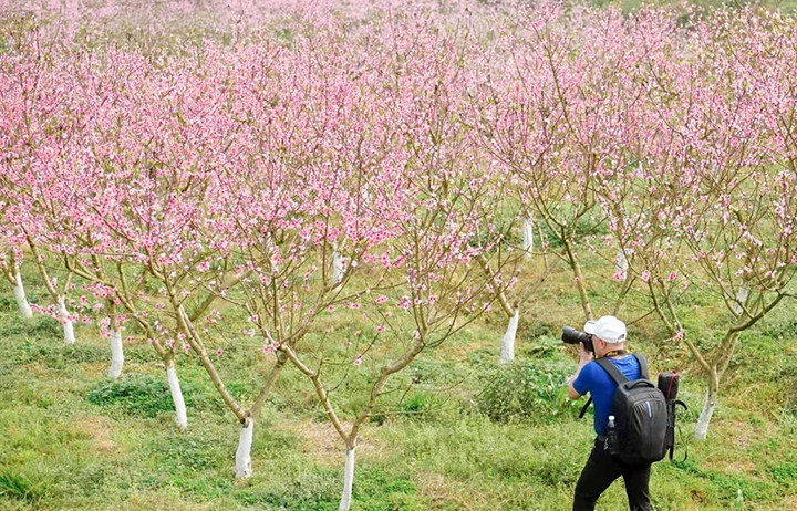 1676516812696139.png 圖片3.png