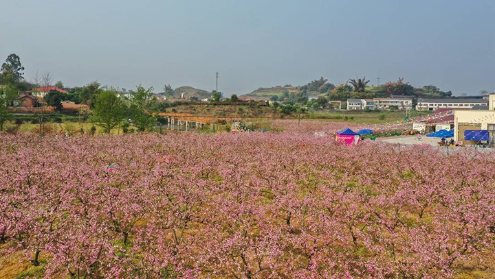 1676516817631962.png 圖片4.png