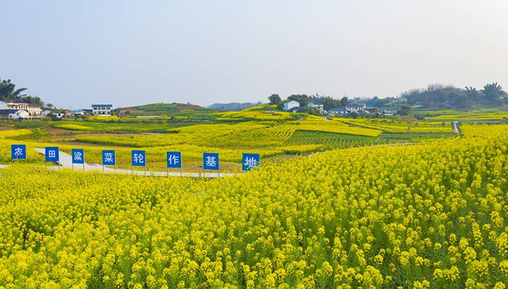 1676516823725630.png 圖片5.png