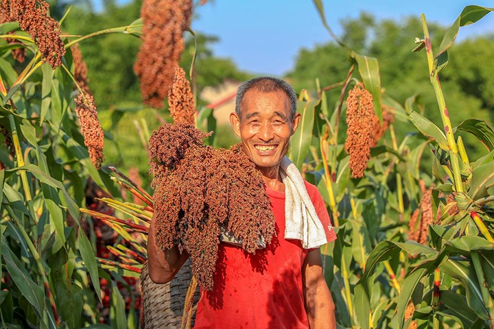 1676516827615895.png 圖片6.png