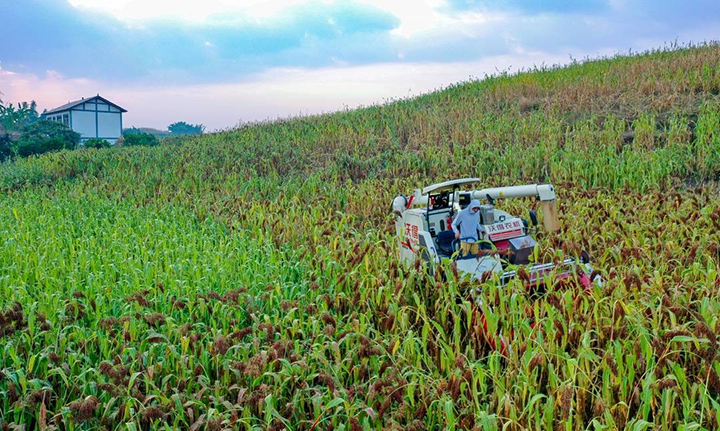 1676516833389269.png 圖片7.png