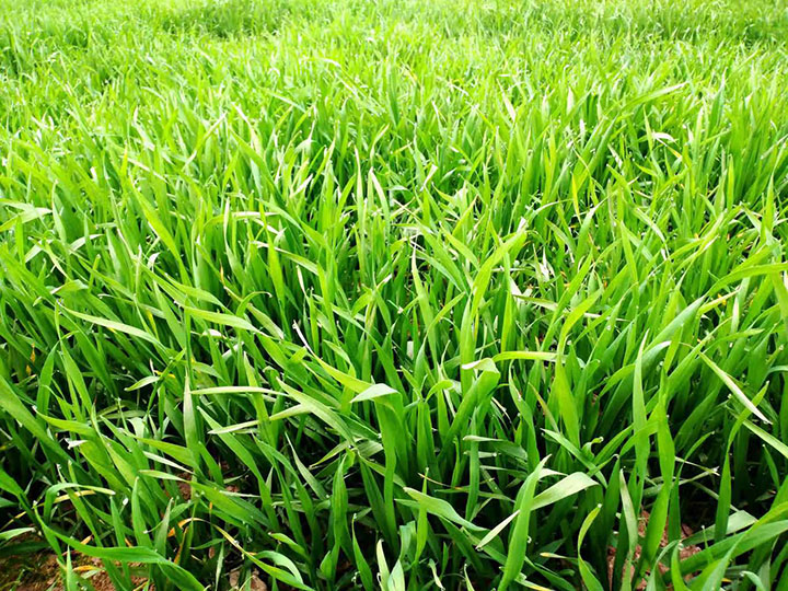 1676516954880172.jpg 微信圖片_202302161022212.jpg