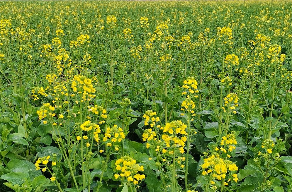 1677721570626940.jpg 2.jpg