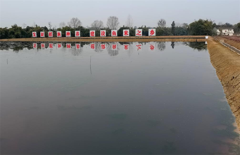 1677721861825346.jpg 6.jpg